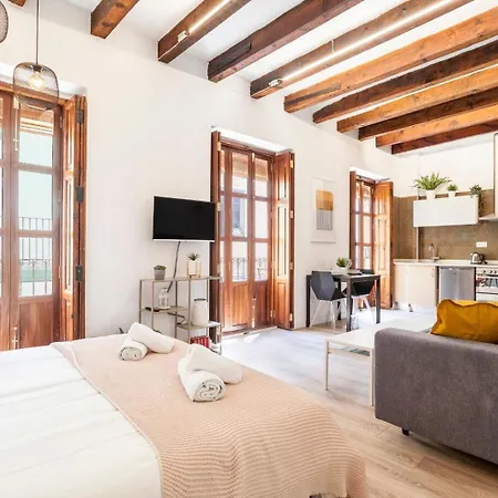 Modern Flat By Mercado In Ciutat Vella Apartment Valencia